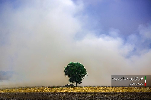 گیاه سوزی؛ مرگ تدریجی خاک!